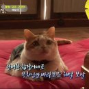 상귀농장 이미지