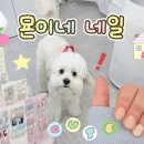 묜이네네일