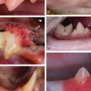 워너비동물병원 용산점 이미지