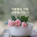 여인의 향기 이미지