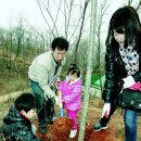 나무한그루 이미지