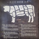 다인식육식당 | 부산진구 맛집 추천! 화지한우 식육식당에서 점심특선 한우투뿔불고기 먹고 온 내돈내산 솔직후기