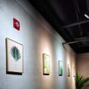 고아라미용실 네이버블로그