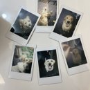 아요하우스 이미지