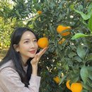 창주농장 이미지