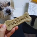 구떼드맘멍 이미지