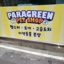 패러그린샵 동래점 | 부산 햄스터 분양받는 곳 [동래 패러그린샵]