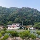 월악산황토펜션 | 아이와 함께 가기 좋은 제천숙소추천 월악산황토펜션