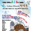 가호방 이미지