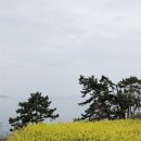 테이블라니 봄해언니네점 | 부안 당일치기 여행/수성당/봄해언니네/채석강/내소사/슬지네제빵소/곰소항/솔섬/채석강맛집