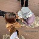 드림빌사과테마공원마을 | 단둘이 첫 모녀여행 후기② 웰에이징해보기 2일차...랜드 가조온천 하누마루 지애플 사과카페 Y자 출렁다리