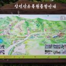 삼선산수목원 벚나무 이미지