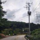 월전로 2 이미지