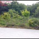 대산면920 이미지