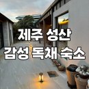 12월펜션 | 제주 성산 독채 풀빌라 자쿠지 펜션 달리야드 후기(12월 겨울)