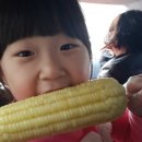 캠핑노리