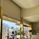 어나더랜드 이미지