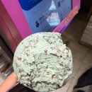 반포대로13길 48 (15) | [2025] 11월 일기