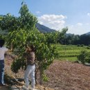 선돌마루 이미지