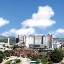 서울대학교병원 - 기장군 | 서울대학교병원