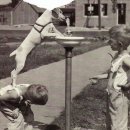 작은친구 이미지