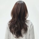 디어디헤어 이미지