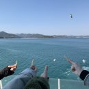 맹주일농장 | 3-10 2020 사량도 사랑했다