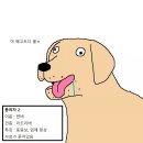 개밥도둑