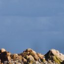 UR(경주시)-[동해안로]-상-13 | 경주 Day2: 동에번쩍 서에번쩍 경주여행🚗 (불국사 주차꿀팁, 경주월드, 동궁과월지 입장료 할인)