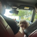 스테이 뭉구 이미지