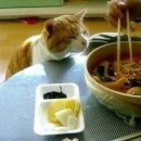 한입만 이미지
