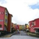 소락스위스 이미지