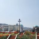타운즈마켓