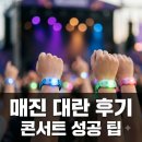 세계로체육관 | 전 세계 투어 매진시켰다더니… 결국 화정체육관까지 삼켜버린 감성 밴드 사연.jpg