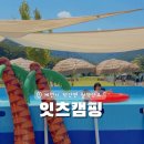 잇츠 캠핑 | [제천캠핑] 아이와 강아지 동반 가능한 계곡 캠핑장 ‘잇츠캠핑’