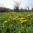 약초화한의원 이미지