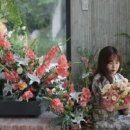 상지초교병설유치원 이미지