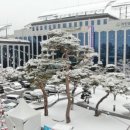 거창-주상-4 이미지