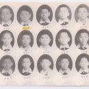 홍갑식 Daum카페