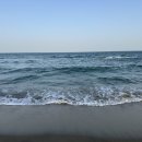 선사랑 놀자 | [양양맛집] 강원도 양양맛집 놀자대게 솔직 후기📝｜대게 수율 최고였던 곳🦀｜내돈내산