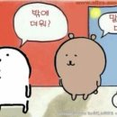 구공탄연탄불고기