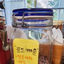 천명농장 | [담양카페]담양커피농장 체험후기