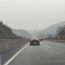 비비게러지 이미지