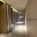 위니아서비스동대구점 | [대구 메리어트 호텔] 클럽 킹룸 컨디션 상세 솔직후기 (레이트 체크아웃, 어메니티, 대구 호캉스 추천...