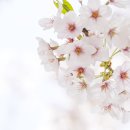 샤인광고 이미지