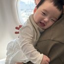 6개월 아기랑 일본 여행 아시아나 항공 베시넷 이용 후기(신청 방법)