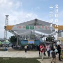울산 고고마켓 셀러소개 #1 / 태화강마켓 후기