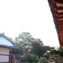 김성수농장 이미지