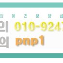 악동강아지 이미지