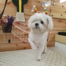 이쁘개(내포신도시점) 이미지